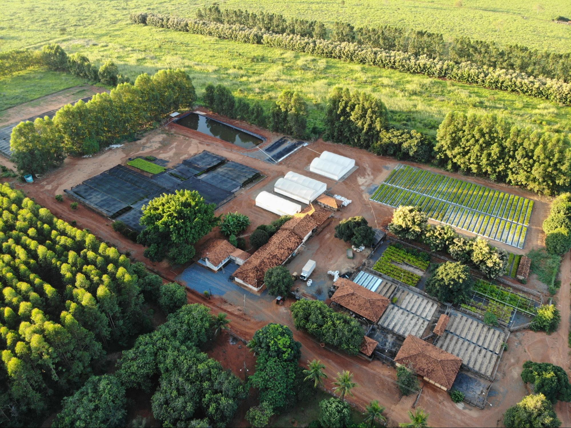 Imagem área do viveiro do Mudas Origem